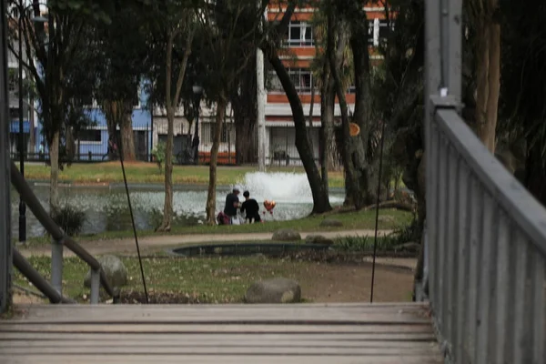 View Movement Passeio Publico Oldest Curitiba July 2022 Curitiba Parana — ストック写真