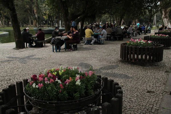 View Movement Passeio Publico Oldest Curitiba July 2022 Curitiba Parana — Foto Stock