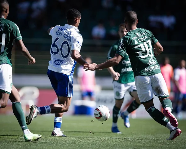 Championnat Brésil Football Deuxième Division Guarani Cruzeiro Juillet 2022 Campinas — Photo