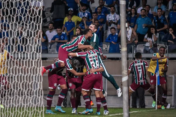 Brazil Soccer Cup Cruzeiro Fluminense Belo Horizonte Minas Gerais Brazil — Stock fotografie