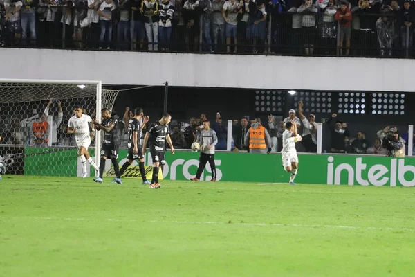 Brazil Soccer Cup Santos Corinthians July 2022 Santos Sao Paulo — Stock Photo, Image