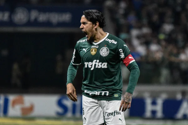 Brezilya Futbol Kupası Raunt Palmeiras Sao Paulo Karşı Temmuz 2022 — Stok fotoğraf