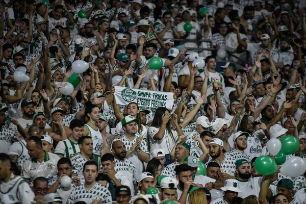 Brazil Soccer Cup Palmeiras Sao Paulo July 2022 Sao Paulo - Stock-foto