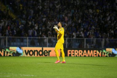 Brazilian Soccer Championship - Avai vs Santos. July 16, 2022, Florianopolis, Santa Catarina, Brazil: Soccer match between Avai and Santos, valid for the 17th round Brazilian Soccer Championship, held at Ressacada stadium, in Florianopolis