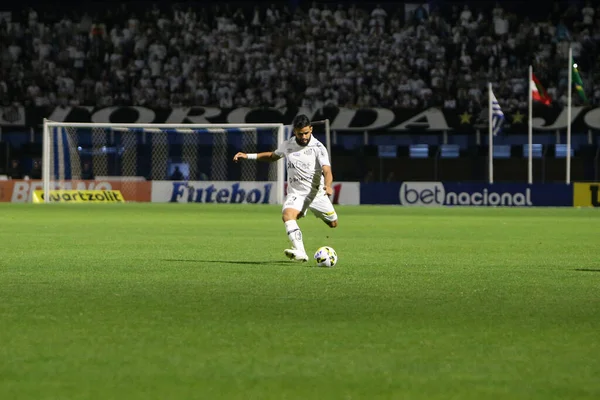 Campeonato Brasileiro Futebol Avai Santos Julho 2022 Florianópolis Santa Catarina — Fotografia de Stock