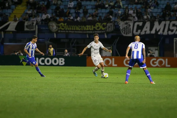 Brazilian Soccer Championship Avai Santos July 2022 Florianopolis Santa Catarina — Stockfoto