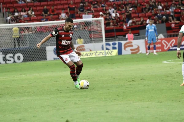 Brazilian Soccer Championship Flamengo Coritiba July 2022 Brasilia Federal District — Stockfoto