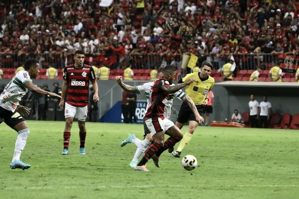 Brazilian Soccer Championship Flamengo Coritiba July 2022 Brasilia Federal District — Fotografia de Stock