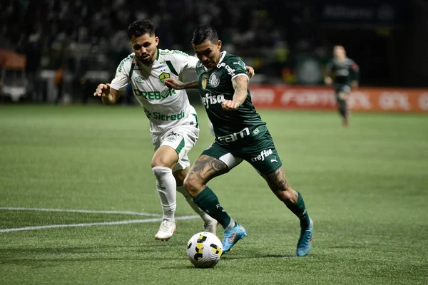 Brazilian Soccer Championship - Palmeiras vs Cuiaba. July 18, 2022, Sao Paulo, Brazil: Soccer match between Palmeiras and Cuiaba, valid for the 17th round Brazilian Soccer Championship, held at Allianz Parque stadium, in Sao Paulo, on Monday (18). Pa