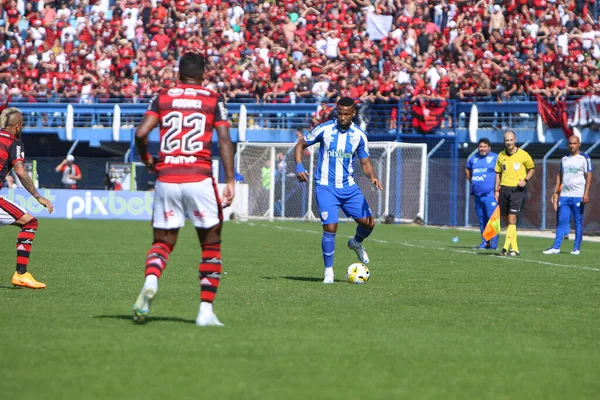 Brazilian Soccer Championship Avai Flamengo July 2022 Florianopolis Santa Catarina — Stok fotoğraf