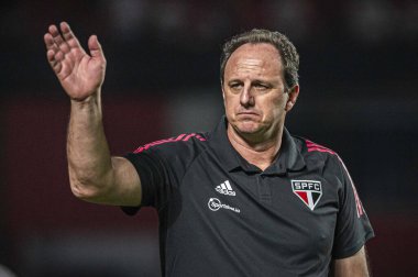 Brezilya Futbol Kupası - Çeyrek final: Sao Paulo - Amerika-MG. 28 Temmuz 2022, Sao Paulo, Brezilya: Sao Paulo ve Amerika-MG arasındaki futbol maçı, Brezilya Futbol Kupası 'nın ilk ayağı için geçerli - Morumbi Stadyumu, Sao Paulo' da oynanan çeyrek final