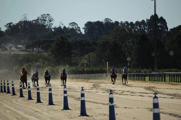 Horse Racing Jockey Clube Parana Curitiba July 2022 Curitiba Parana — Fotografia de Stock