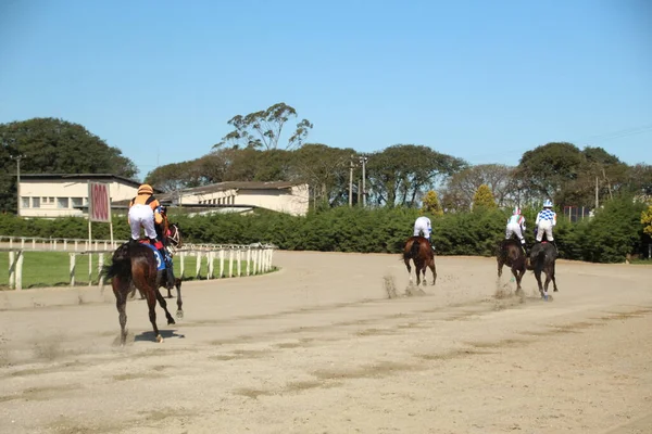 Horse Racing Jockey Clube Parana Curitiba July 2022 Curitiba Parana — ストック写真