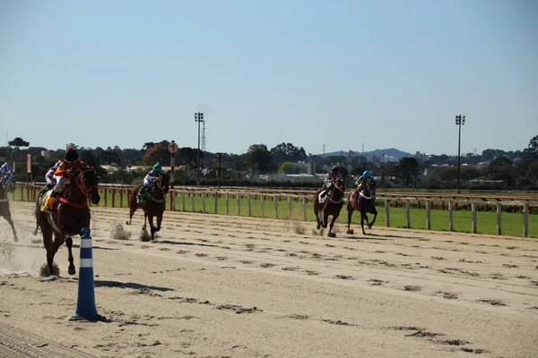 Horse Racing Jockey Clube Parana Curitiba July 2022 Curitiba Parana — Fotografia de Stock