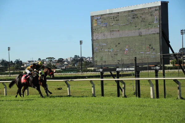 Horse Racing Jockey Clube Parana Curitiba July 2022 Curitiba Parana — Fotografia de Stock