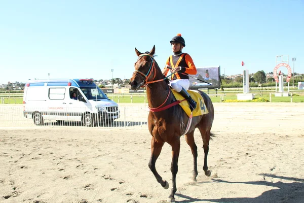 Horse Racing Jockey Clube Parana Curitiba July 2022 Curitiba Parana — Fotografia de Stock