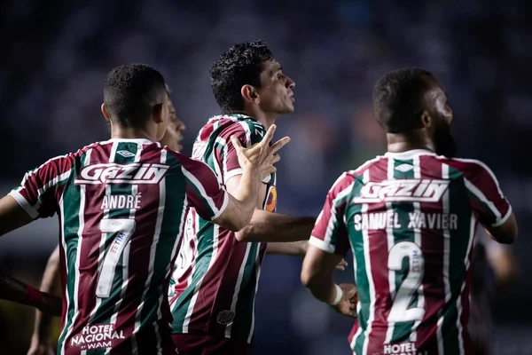 Brazilian Soccer Championship Santos Fluminense August 2022 Santos Sao Paulo — Stockfoto