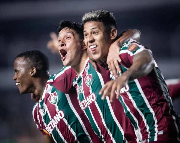 Brazilian Soccer Championship Santos Fluminense August 2022 Santos Sao Paulo — ストック写真