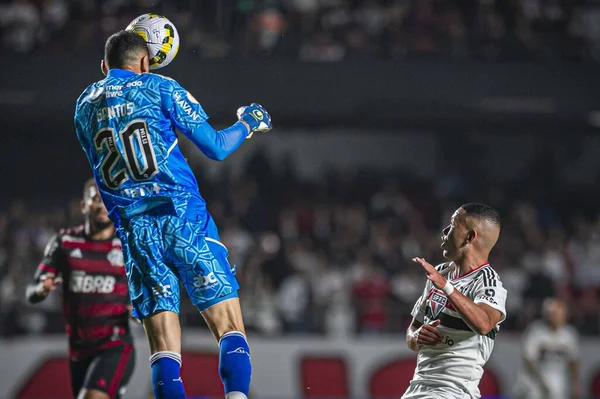 Brazilian Soccer Championship Sao Paulo Flamengo August 2022 Sao Paulo — Stockfoto