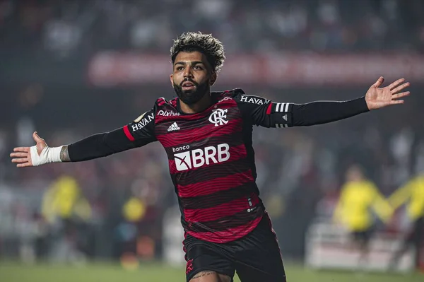 Brazilian Soccer Championship Sao Paulo Flamengo August 2022 Sao Paulo — Fotografia de Stock