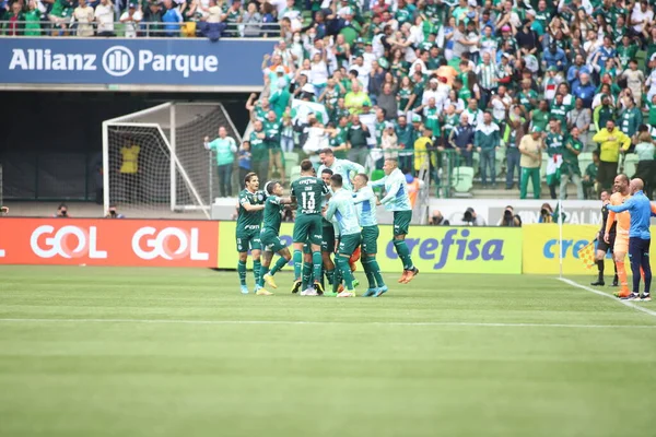 Brazilian Soccer Championship Palmeiras Goias August 2022 Sao Paulo Brazil — Stok fotoğraf