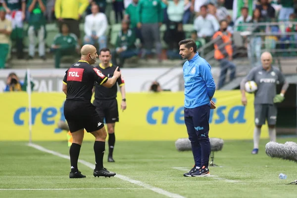 Brazilian Soccer Championship Palmeiras Goias August 2022 Sao Paulo Brazil — Foto Stock