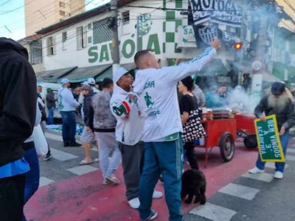 Libertadores Soccer Cup Quarterfinals Palmeiras Atletico Mineiro August 2022 Sao — ストック写真