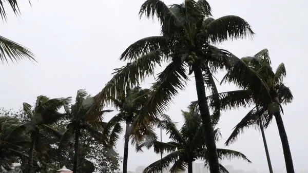 Weather Arrival Cold Front Rio Janeiro August 2022 Rio Janeiro — Foto de Stock