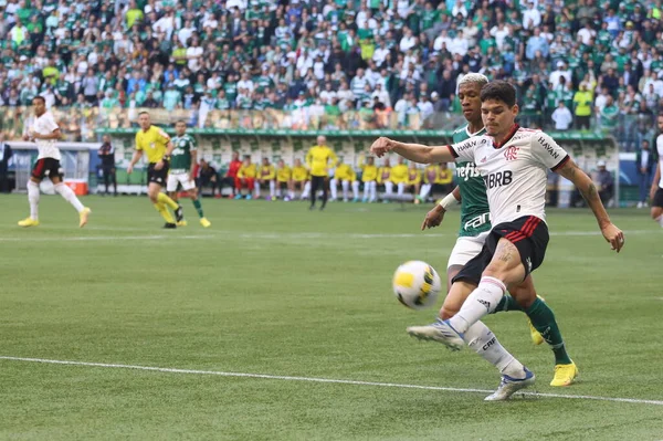 Βραζιλιάνικο Πρωτάθλημα Ποδοσφαίρου Palmeiras Flamengo Αυγούστου 2022 Σάο Πάολο Βραζιλία — Φωτογραφία Αρχείου