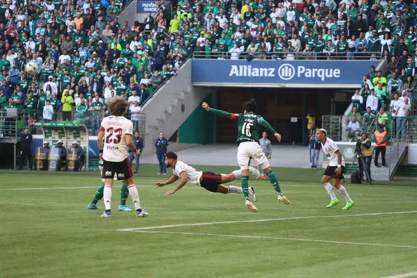 Brazilian Soccer Championship Palmeiras Flamengo August 2022 Sao Paulo Brazil — Stock Fotó