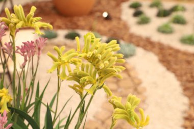 Preparations for the 39th Edition of Expoflora in Holambra, countryside of Sao Paulo. August 24, 2022, Holambra, Sao Paulo, Brazil: Preparations for the 39th Expoflora to be held in the city of Holambra, in countryside of Sao Paulo