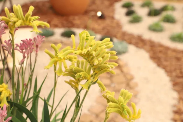 Preparations for the 39th Edition of Expoflora in Holambra, countryside of Sao Paulo. August 24, 2022, Holambra, Sao Paulo, Brazil: Preparations for the 39th Expoflora to be held in the city of Holambra, in countryside of Sao Paulo