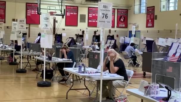 Congressional State Senate Primary Election Day New York August 2022 — Videoclip de stoc
