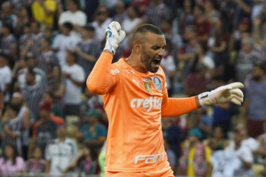 Brazilian Soccer Championship: Fluminense vs Palmeiras. August 27, 2022, Rio de Janeiro, Brazil: Soccer match between Fluminense and Palmeiras, valid for the 24th round of Brazilian Soccer Championship, held at Maracana stadium