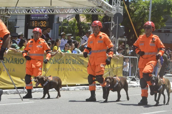 Brazilian Independence Parade Natal September 2022 Natal Rio Grande Norte — 스톡 사진