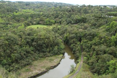 Curitiba 'daki Tangua Park' ta hareket var. 16 Eylül 2022, Curitiba, Parana, Brezilya: 16 Eylül Cuma günü Parana 'nın başkenti Curitiba' yı ziyaret edenlerin favori mekanlarından biri olan Tangua Park 'ta Hareket). 