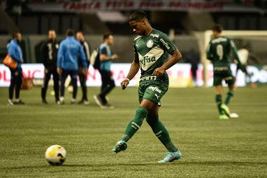 Brezilya Futbol Şampiyonası: Palmeiras Santos 'a karşı. 18 Eylül 2022, Sao Paulo, Brezilya: Pazar günü Sao Paulo 'daki Allianz Parque Stadyumu' nda düzenlenen Brezilya Futbol Şampiyonası 'nın 27. 