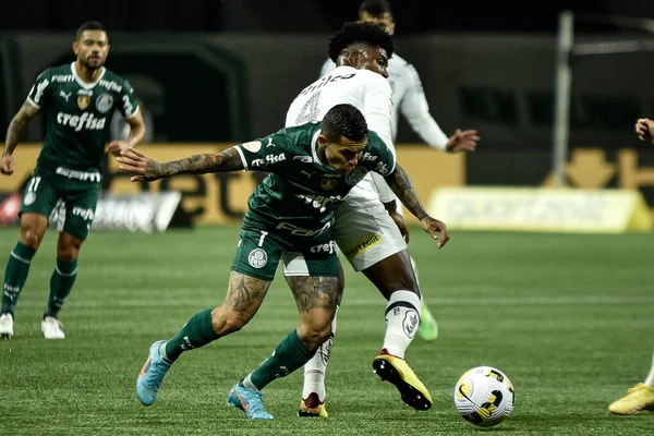 Campeonato Brasileiro Futebol Palmeiras Santos Setembro 2022 São Paulo Brasil — Fotografia de Stock