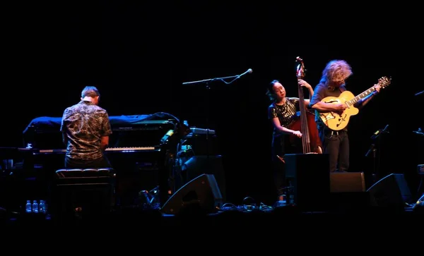 Çok Enstrümantalist Pat Metheny Nin Vivo Rio Daki Konseri Eylül — Stok fotoğraf
