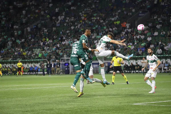 Campeonato Brasileiro Futebol Palmeiras Coritiba Outubro 2022 São Paulo Brasil — Fotografia de Stock