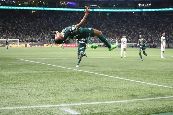 Campeonato Brasileiro Futebol Palmeiras Coritiba Outubro 2022 São Paulo Brasil — Fotografia de Stock