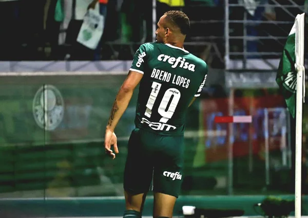 Campeonato Brasileiro Futebol Palmeiras Coritiba Outubro 2022 São Paulo Brasil — Fotografia de Stock