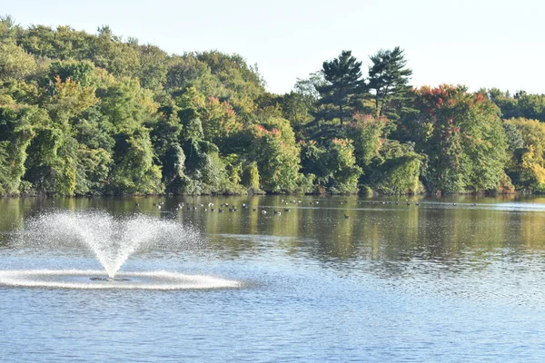 Vue Sur Lac Saddle River County Park Dans New Jersey — Photo