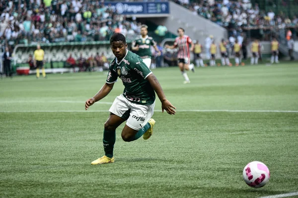 Campionato Brasiliano Calcio Palmeiras San Paolo Ottobre 2022 San Paolo — Foto Stock