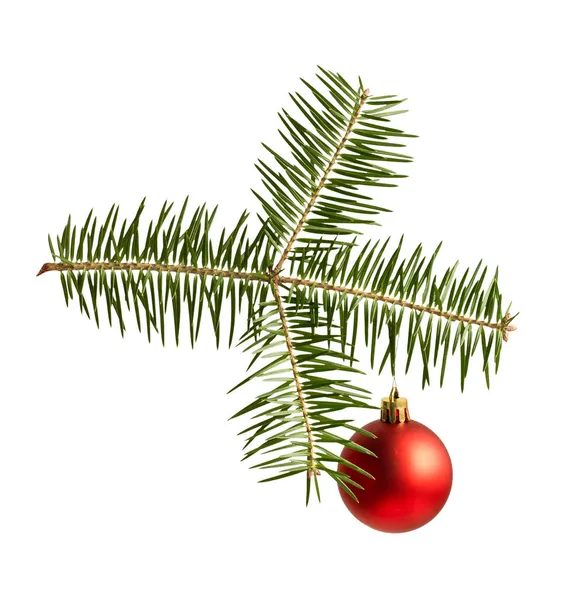Isoliertes Objekt Tannenzweig Mit Hängendem Weihnachtsspielzeug Rote Kugel Auf Weißem — Stockfoto