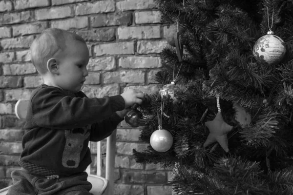 Geyik desenli süveter giymiş şirin bir çocuk Noel ağacını süslüyor. Bir mucize bekliyor, Noel için hazırlanıyor. Çocukların hayalleri, çocukluk