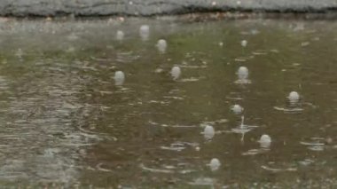 Yağmur, su birikintileri. Yağmur yağıyor. Yağmur damlası yere düşüyor..