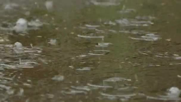 Deszcz, kałuże. Pada deszcz. Spadająca na podłogę kropla wody deszczowej. — Wideo stockowe