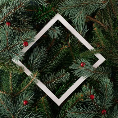 Kırmızı böğürtlenli ve beyaz çerçeveli Noel ağacı dallarından oluşan yaratıcı bir düzen. Yeni yıl doğa kavramı.