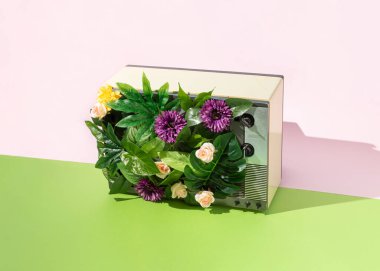 Yeşillik yapraklar ve çiçekler, canlı yeşil ve parlak pembe arka plana karşı eski klasik televizyondan çiçek açarlar. Minimum bahar doğası kavramı. Retro estetik.